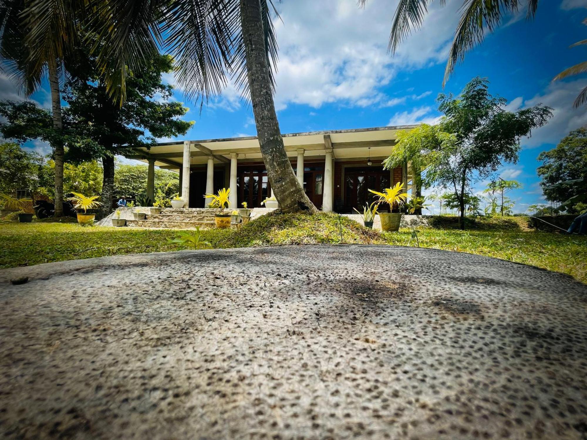 The Lotus Villa Sigiriya Exterior photo
