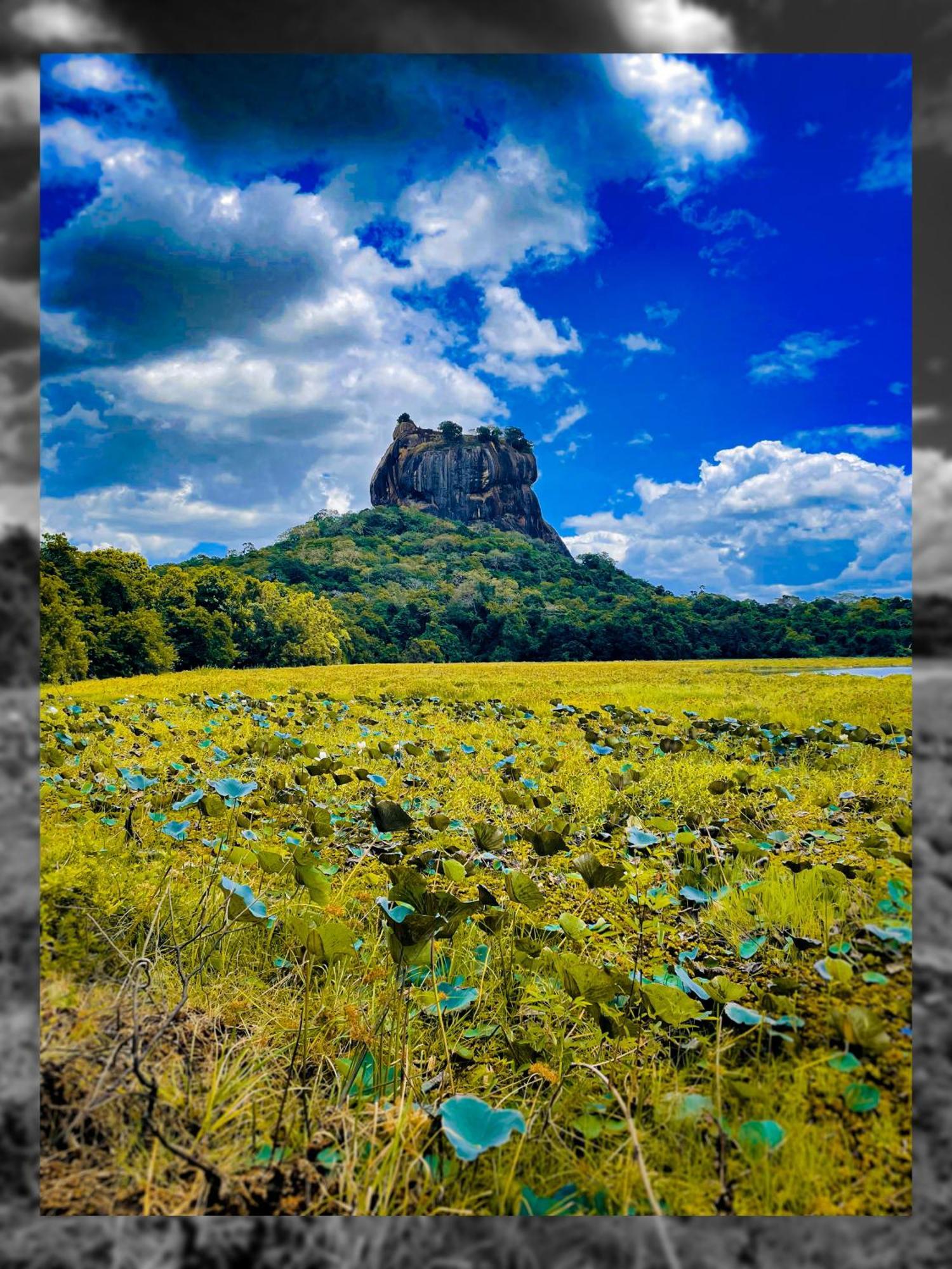 The Lotus Villa Sigiriya Exterior photo
